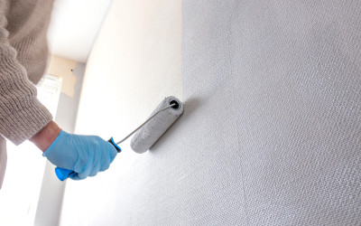 Overview of the best paints for wallpaper for painting