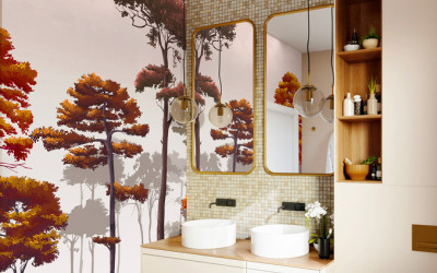 Bathroom design in a modern style