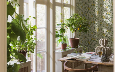 Plants in the interior