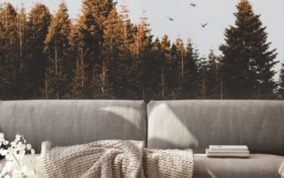 Wallpapers that help create an illusion