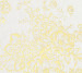 Wallpaper AS Creation AP Finest 30657-1
