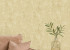 Wallpaper AS Creation Della Natura 39679-5