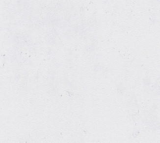 Wallpaper AS Creation Remix 78020-2
