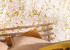 Шпалери Caselio Green Life 2 101694002