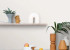 Wallpaper Caselio Green Life 2 104010000