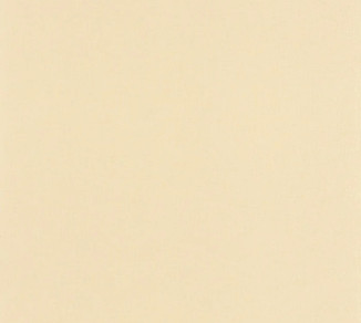 Wallpaper Caselio Outlines 64521270