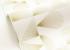 Wallpaper Caselio Outlines OTLS105030235