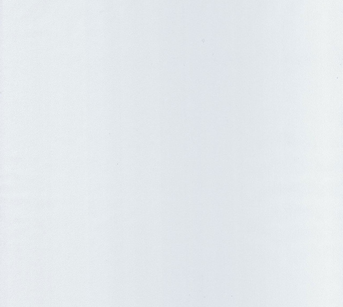 Шпалери Caselio Outlines OTLS64520000