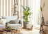 Wallpaper Caselio Outlines OTLS64522412