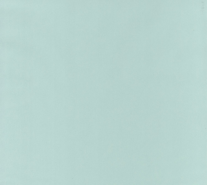 Wallpaper Caselio Outlines OTLS64527007