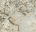 Шпалери Emiliana Parati Carrara Best 85603
