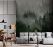 Фотошпалери Wallstyle Ліс 09
