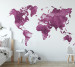 Фотошпалери Wallstyle Мапа світу дитяча 17