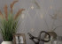 Шпалери Graham&Brown Next 118314