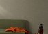 Wallpaper Grandeco Concept co1019