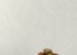 Wallpaper Grandeco Concept co3001