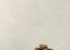 Wallpaper Grandeco Concept co3002