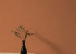 Wallpaper Grandeco Maison mn1008