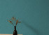 Wallpaper Grandeco Maison mn1012