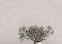 Wallpaper Grandeco Vibes a82207