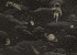 Шпалери Holden Adventure Awaits 14050