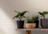 Шпалери Marburg Botanica 33018