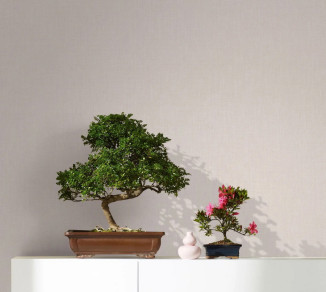 Wallpaper Marburg Botanica 33028