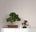 Wallpaper Marburg Botanica 33028
