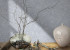 Wallpaper Marburg Loft Superior 34103