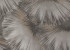 Wallpaper Rasch Incanto 977837