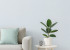 Шпалери Rasch My Cottage 960792