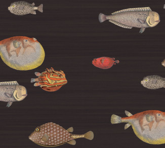 Шпалери Cole&Son Fornasetti Senza Tempo 97-10048