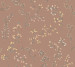 Wallpaper Borastapeter Vart Arkiv 2003