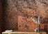 Photo wallpapers Your interior 3D Seabed 21551
