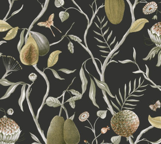 Wallpaper Khroma Cabinet Of Curiosities CAB605