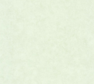 Wallpaper Caselio Beton 2 101487042