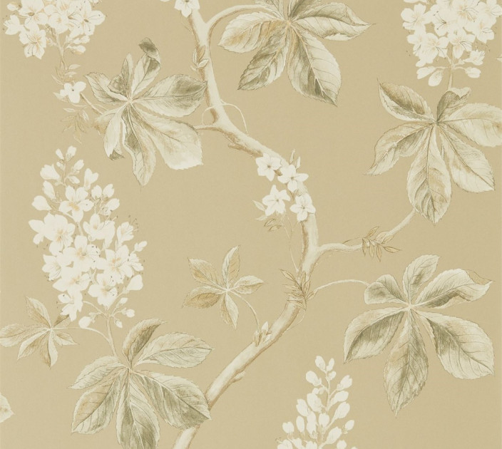 Sanderson Woodland Walk Wallpaper DWOW215711
