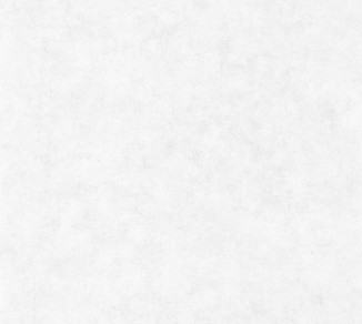 Wallpaper Caselio Beton 2 101489000