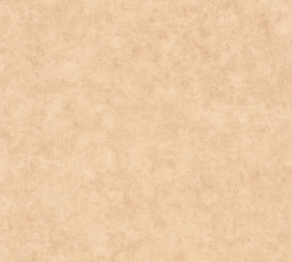 Wallpaper Caselio Beton 2 101482446