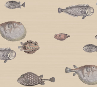 Шпалери Cole&Son Fornasetti Senza Tempo 114-16033