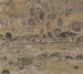 Wallpaper Emiliana Parati Fusione 73519