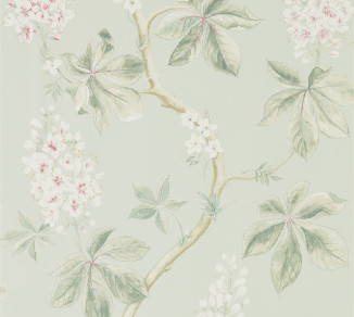 Sanderson Woodland Walk Wallpaper DWOW215710