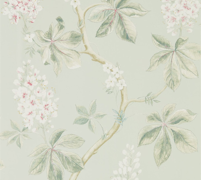 Sanderson Woodland Walk Wallpaper DWOW215710