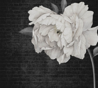 Фотошпалери Wallstyle Білий піон 5150120193