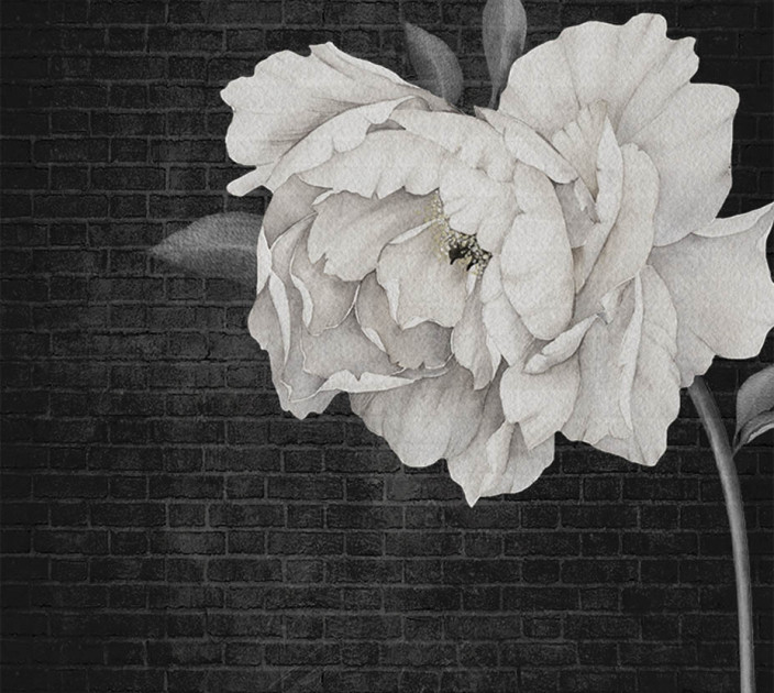Photo wallpapers Wallstyle White peony 5150120193
