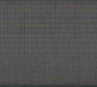 Wallpaper Rasch Textil Cador 076164