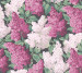 Шпалери Cole&Son Botanical Botanica 115-1001