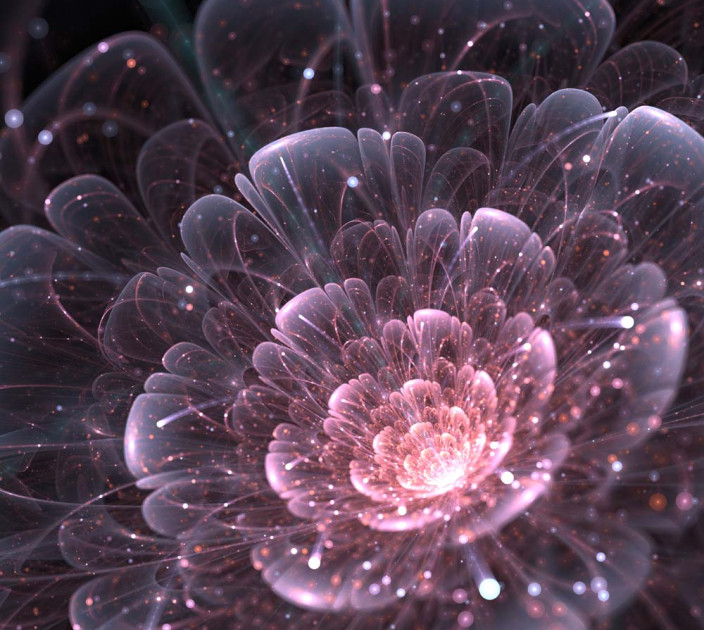 Photo wallpaper Wallstyle 3D flower 21082019