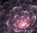 Photo wallpaper Wallstyle 3D flower 21082019