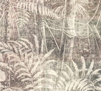 Wallpaper Khroma Cabinet Of Curiosities DGCAB1014